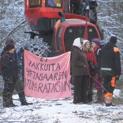 Mielenosoitus Hietasaaren hakkuita vastaan