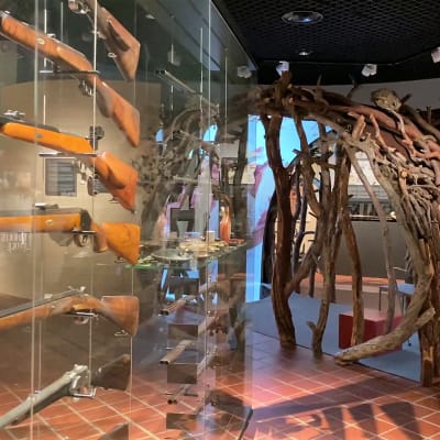 Suomen metsästysmuseon näyttelyvitriineissä aseita ja vieressä puumaja