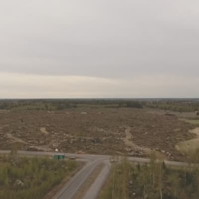 Yleiskuva ilmasta Laajametsaän teollisuusalueen avohakkuualueesta