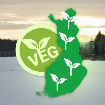 Talvinen peltomaisema jonka päällä grafiikka vegaanisesta Suomesta