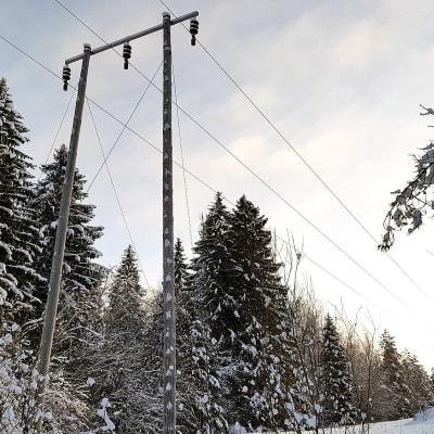 Sähkölinjoja lumisessa metsässä
