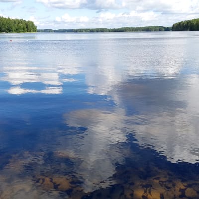 Kutilanlahti