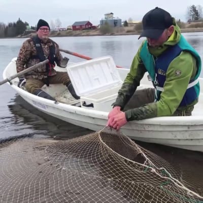 Kalastajat kokevat rysää soutuveenestä käsin.
