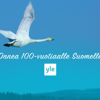 Onnittelukuva 100-vuotiaalle Suomelle