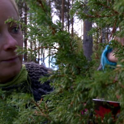 Alexandra plockar enbär
