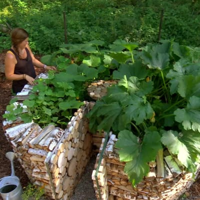 Camilla Forsén-Ström och Owe Salmela vid nyckelhålsträdgården med gurka, pumpa och zucchini