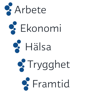 Yle har plockat ut fem fokusområden inför valet 2015.