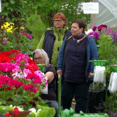 kvinnor i ett växthus med blommor