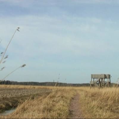 Saltfjärdens fågeltorn.