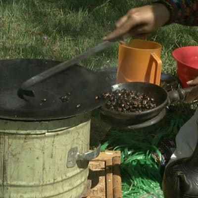 Etiopialainen nainen paahtaa kahvipapuja