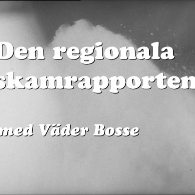 En regional skamrapport för Lasso