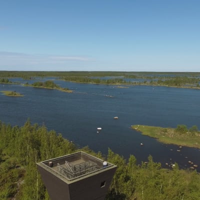 Saltkaret vid Svedjehamn