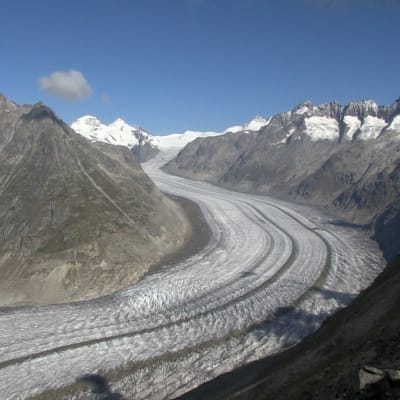 Aletschglaciären sedd från Bettmerhorn