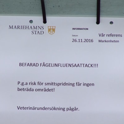 Varning för fågelinfluensa i Mariehamn.