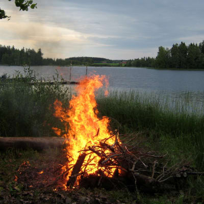 Juhannus, juhannusilta. Juhannuskokko järven rannalla (kokko, tuli). Suodenniemi.