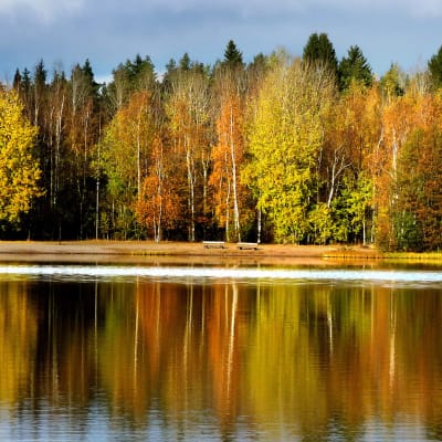 Ruskamaisema Tohloppijärvellä.