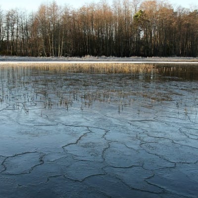 jäätynyt järvi