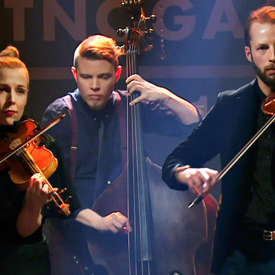 Frigg-yhtye esiintyy Etnogaalassa tammikuussa 2019
