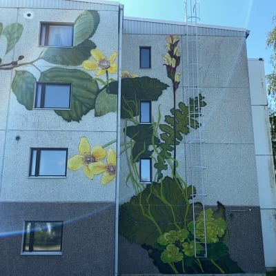 Huittisten kaupungin vuokrakerrostalon seinässä keltaista luonnonkukkaa esittävä valtava maalaus