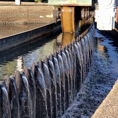 Vesi valuu jätevesialtaan reunan yli Porin jätevedenpuhdistamolla