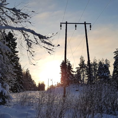 Sähkölinjoja lumisessa metsässä