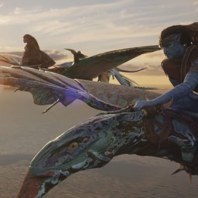 Två blå avatarer flyger på varsin drake i solnedgången.