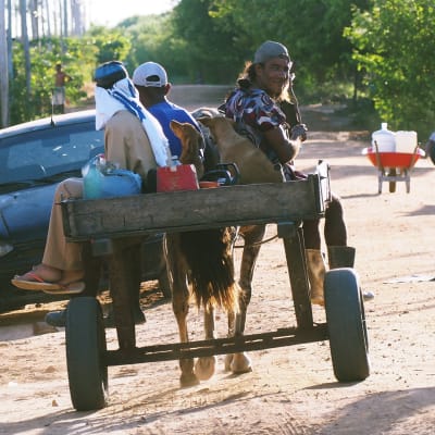 En åsna med vagn i Brasilien