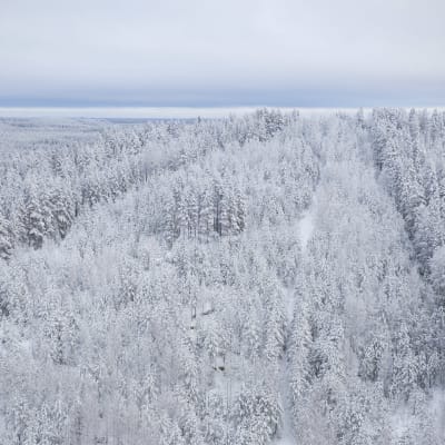 Ilmakuva lumisesta Pärnävaarasta.