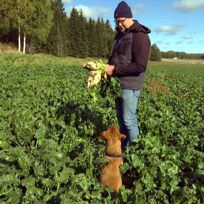 Sebastian Sohlberg ger en sockerbeta åt sin hund på en åker. 