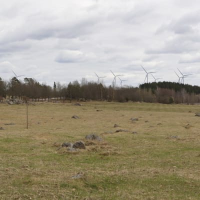 Åker, skog och vindkraftverk i bakgrunden.