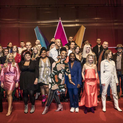 Alla 28 artister på rad med Melodifestivalens logga bakom sig.