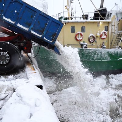 Snö som dumpas i havet från en lastbil. I bakgrunden syns också en båt.