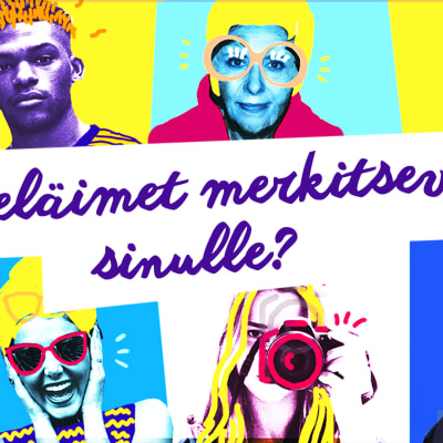 Mitä eläimet merkitsevät sinulle?