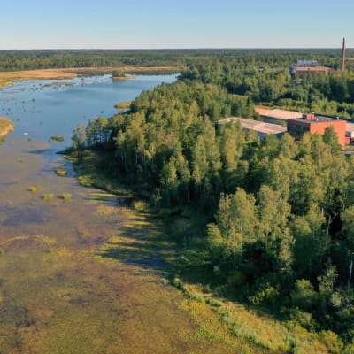 Bild tagen av Infjärden från luften. Till höger i bild ses Kemiras gamla fabriksområde. Det är sommar och sjön är full av växtlighet.