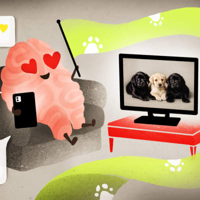 Piirros, jossa aivoja muistuttava hahmo katselee sydänsilmin televisiosta koiranpentuja ja pitelee kädessä älypuhelinta sekä viiriä, jossa on tassukuviota.