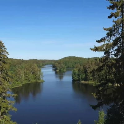 Kesäinen metsä ympäröi järveä sinisen taivaan heijastuessa järveen.