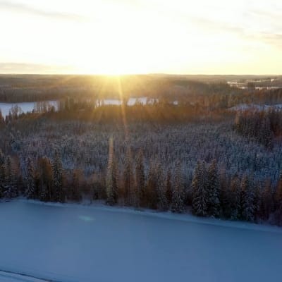 Talvisia peltoja ja metsiä ilmakuvassa auringonlaskun aikaan.