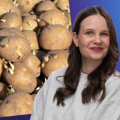 Laura Törnroos står framför en bild på många potatisar som fått groddar. 