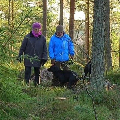 Ira Donner (De gröna) och Raseborgs skogsbruksingenjör Carl-JOhan Jansson diskuterar i skogen vid Karis spånbana. 