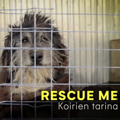 Naava sarjassa Rescue me - koirien tarina