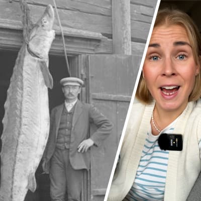 Vasemmalla on vuonna 1914 otettu valokuva 150-kiloisesta sinisammesta ja kalastajista sen vierellä. Oikealla on kuvakaappaus videolta, jossa näkyy toimittaja Sara Salmi.