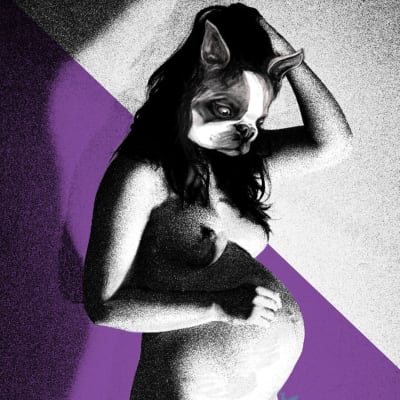 Graafinen kuva jossa raskaana oleva nainen, jolla bostoninterrierin pää