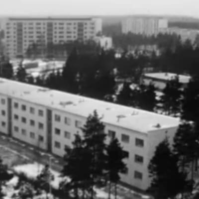 Höghus i Gårdsbacka, 1973