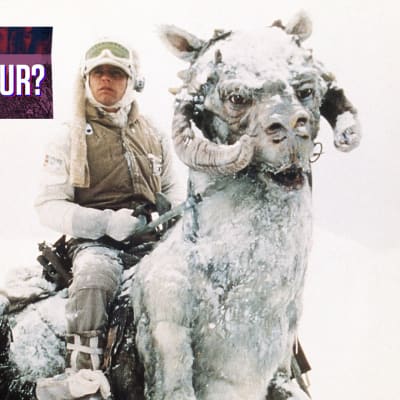 Två män i tjocka vinterkläder i snöyra i Star Wars-film. Den ena rider på ett lurvigt djur med horn. Plansch med texten "Vad vet du om kultur?"