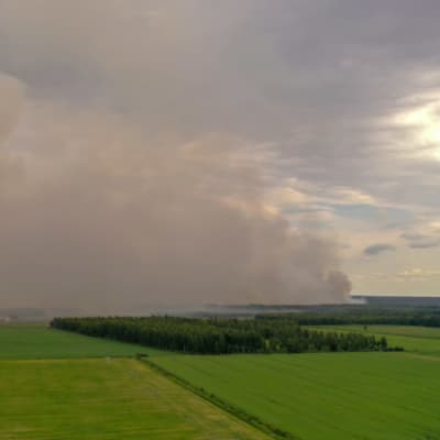 Metsäpalo Muhoksella