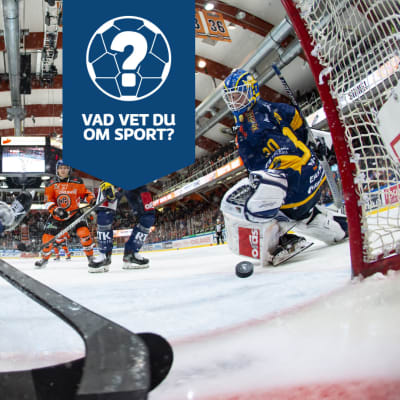 Närkamp framför målet under ishockeyligamatch.