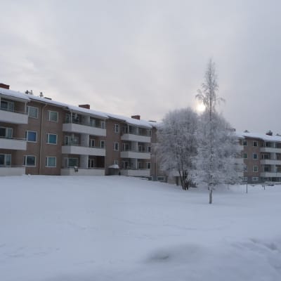 Masken i Jakobstad.
