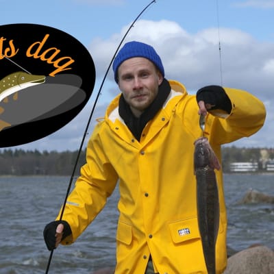 Bild till fiskets dag-juttu.