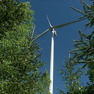 Latamäen tuulivoimapuisto Luhangassa.