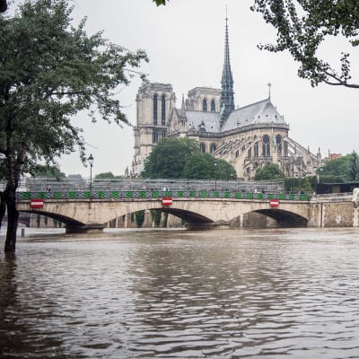 Tulviva Seine-joki Pariisin keskustassa.